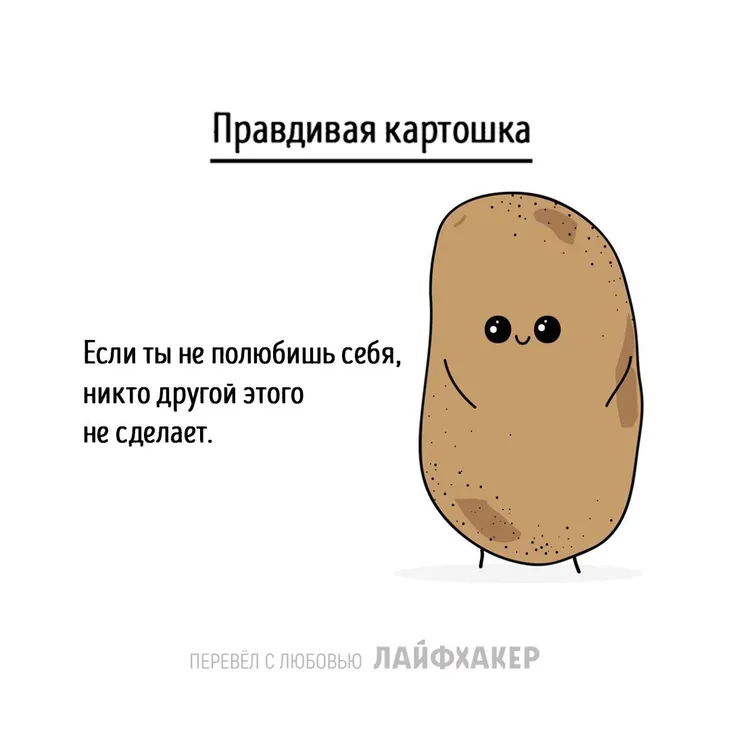 14441 27803 - Пословицы про картошку