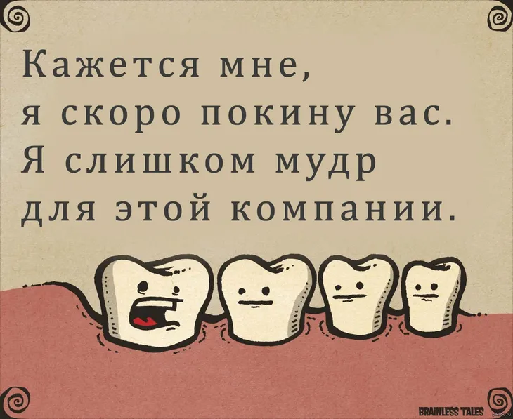 1484 47498 - Афоризмы про стоматологов