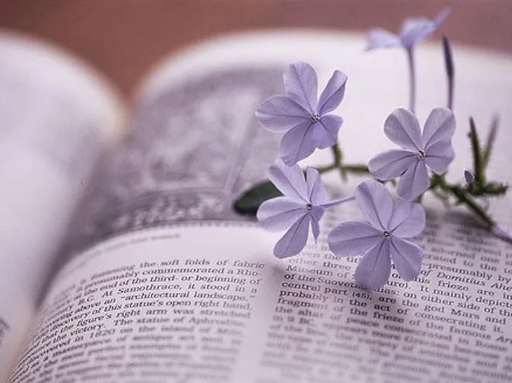 30948 136308 - Цитаты про цветы из книг