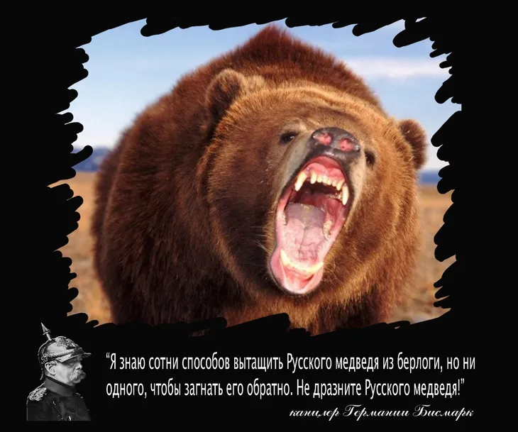 35645 127154 - Афоризмы про медведя