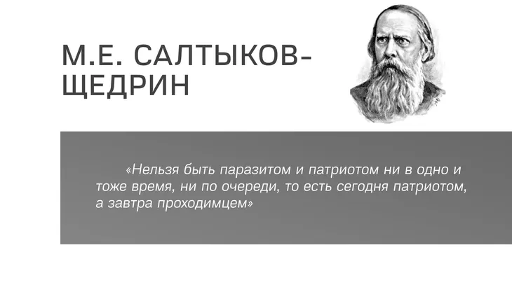 48873 13516 - Салтыков Щедрин цитаты