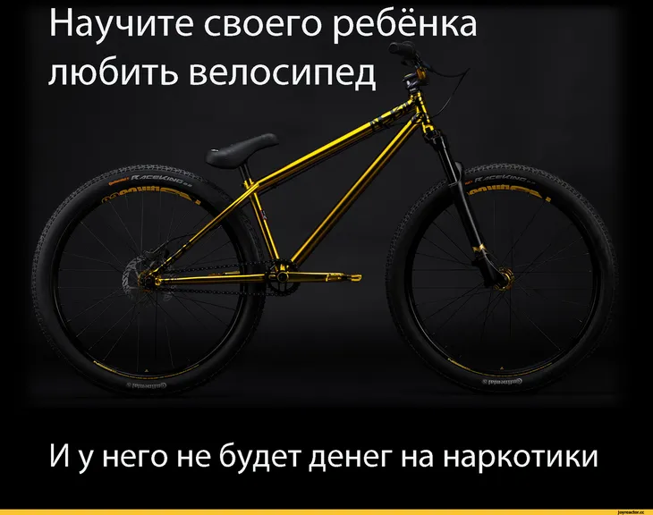 51496 36374 - Статусы про велосипед