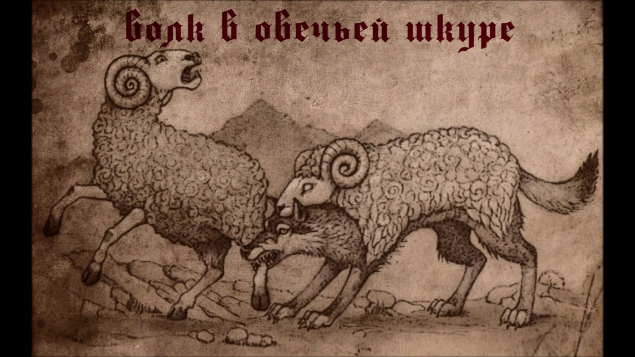 5dd088321fe6b - Смысл пословицы Молодец против овец