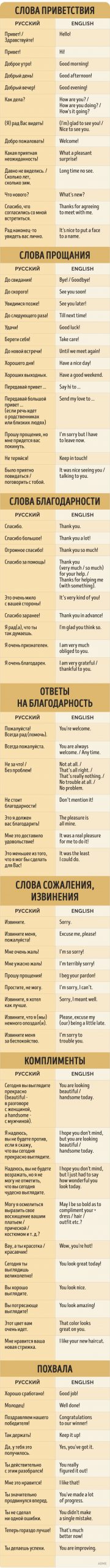 5dd099d222984 scaled - Вежливые фразы на русском