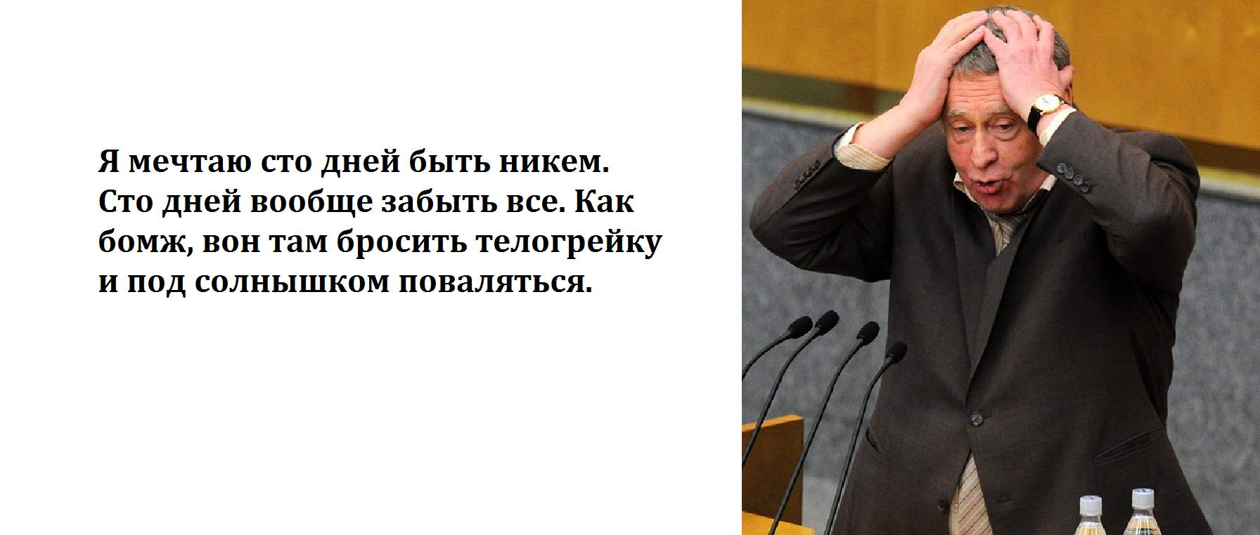 Фото Жириновского В Хорошем Качестве