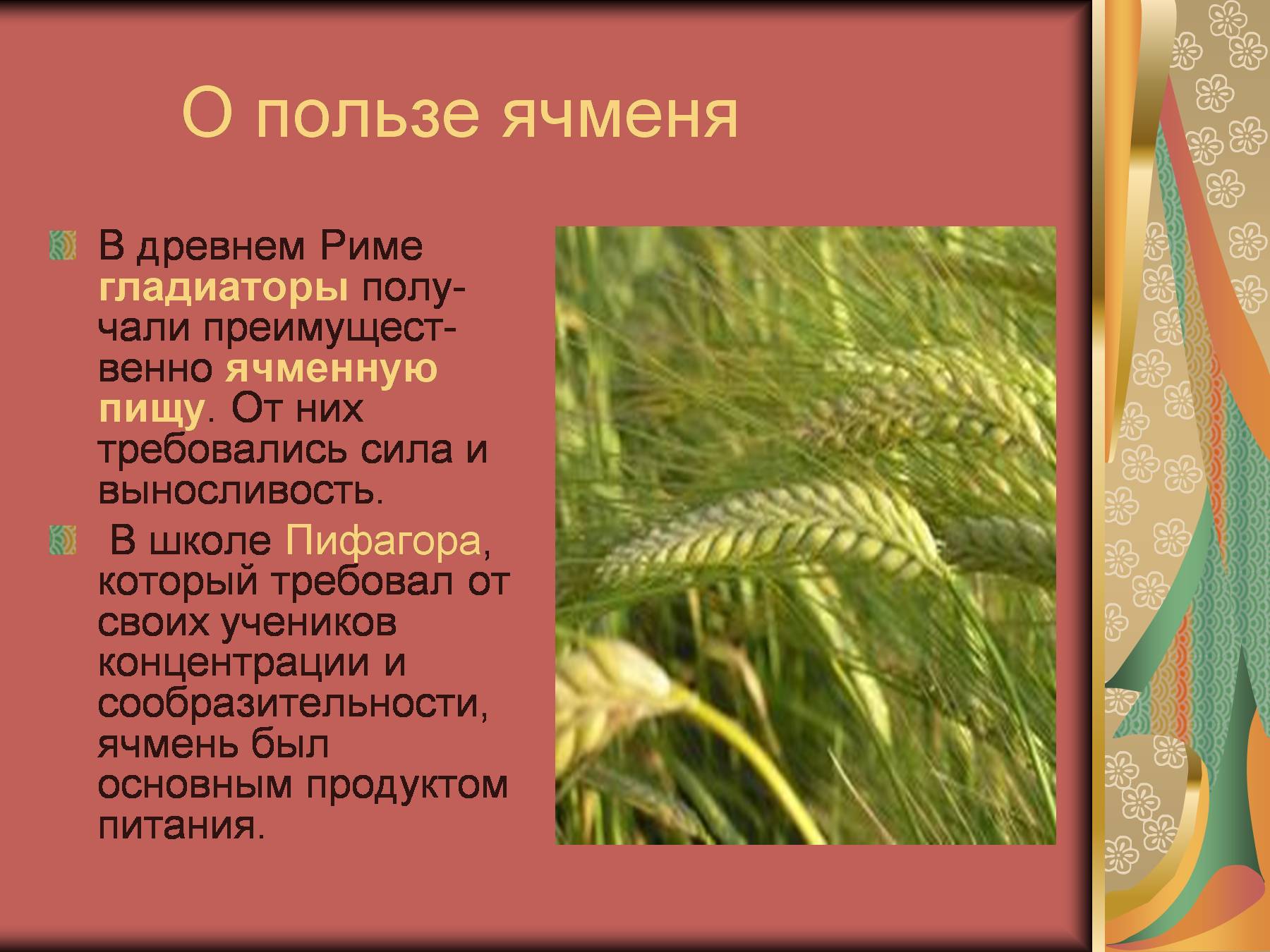 5dd0aa80122ba - Пословицы про растения