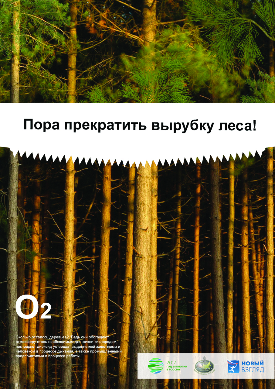 5dd0be1580b8a - Цитаты про лес