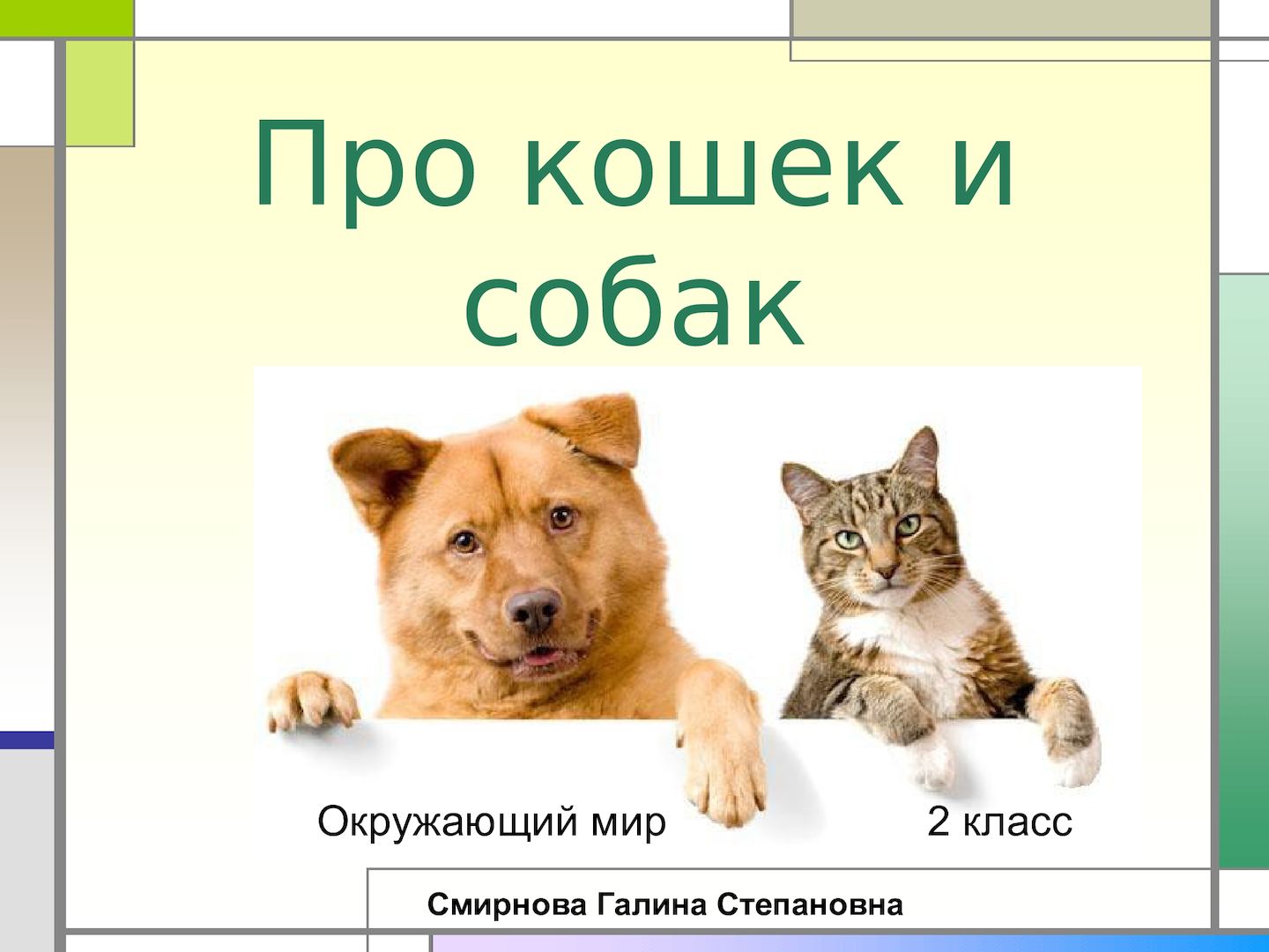 5dd0d6d4ab880 - Пословицы о кошках и собаках