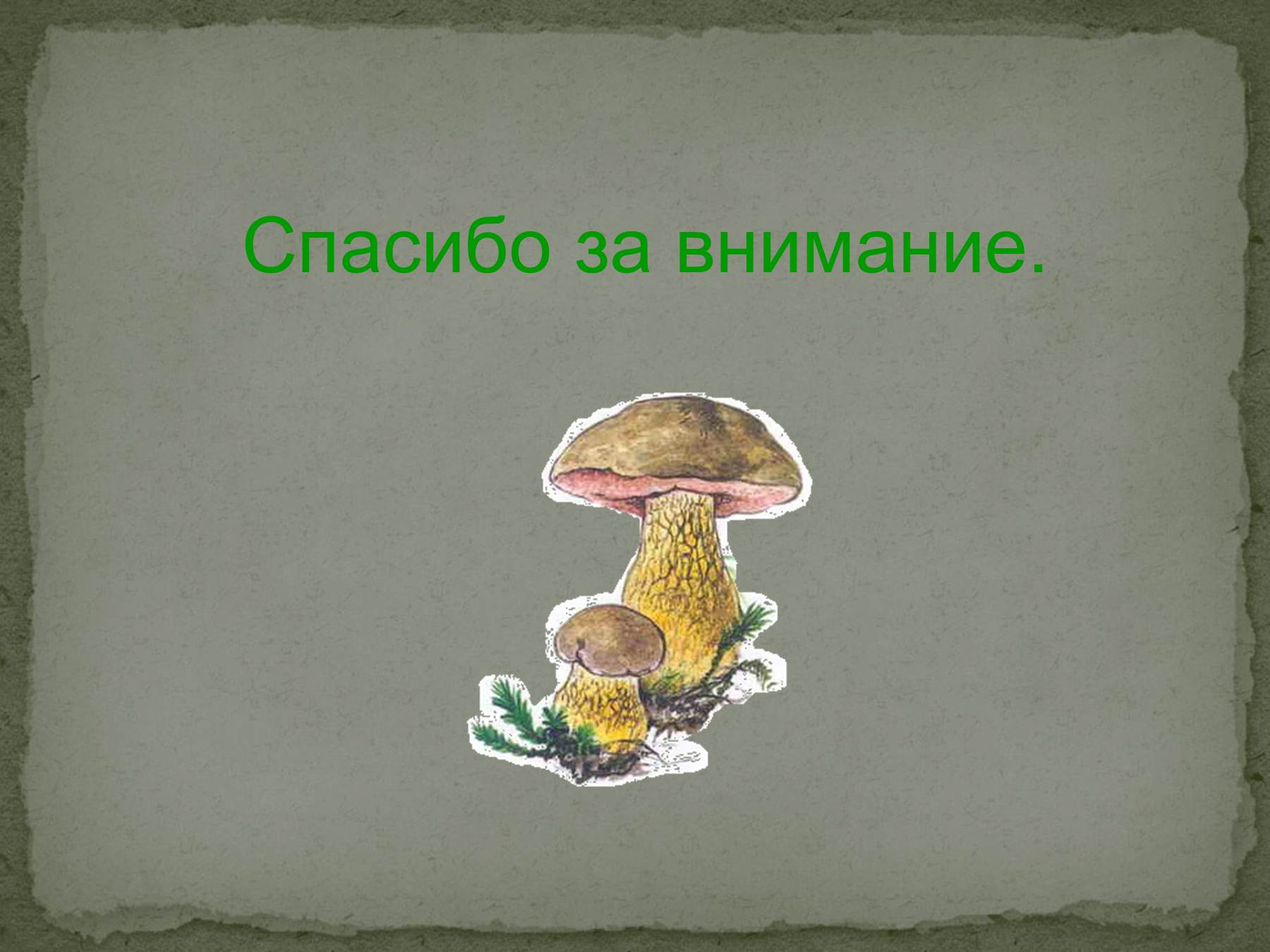 5dd0d9566b184 - Пословицы о грибах